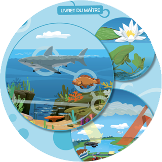 Les écosystèmes aquatiques